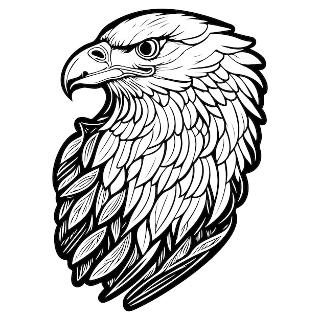 doodle sketch nouveau Eagle animal illustration draw