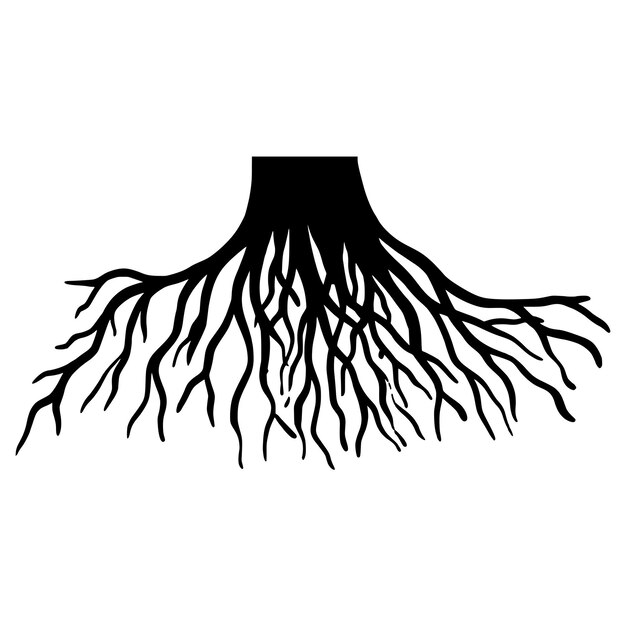 Vector doodle sketch style of tree root vector illustration for concept design