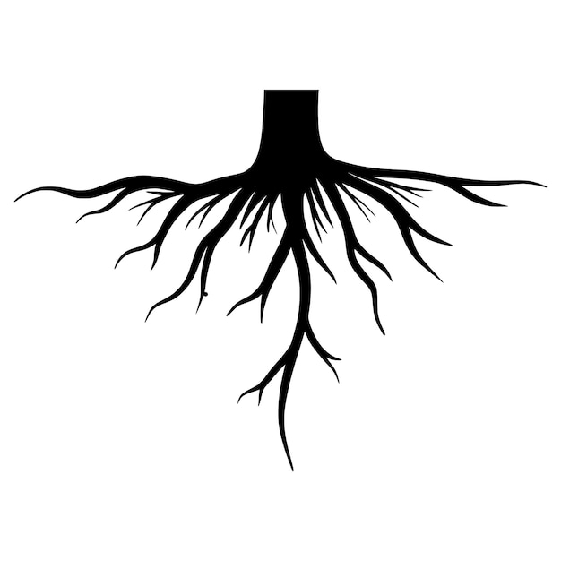 Vector doodle sketch style of tree root vector illustration for concept design