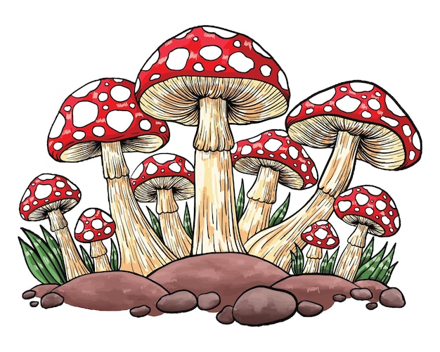 Doodle style colored mushroom sketch vector