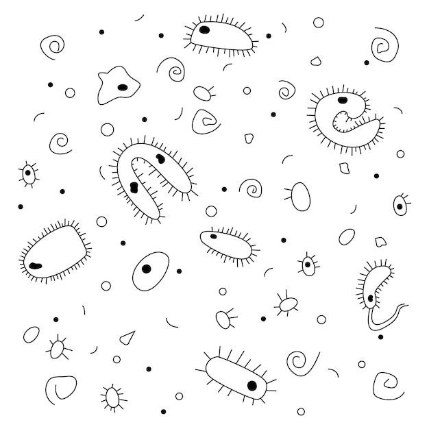 Doodle style handdrawn drawing Black and white bacteria on a white background