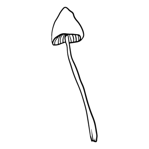 Doodle style mushroom on isolated white background. Forest mushroom. Vector illustration.