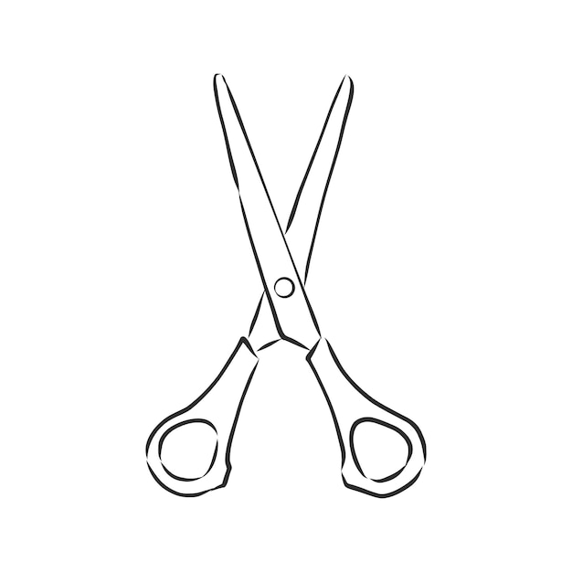 Doodle style scissors illustration. Scissors vector sketch illustration