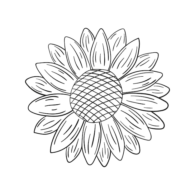 Doodle sunflower isolated on a white background.