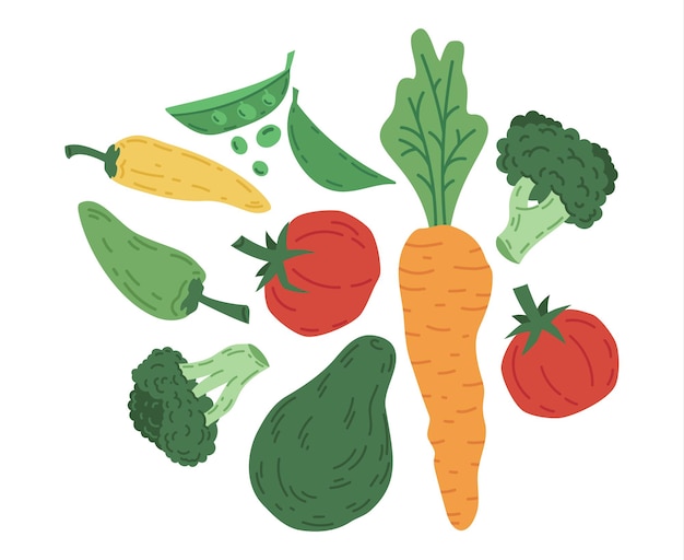 Doodle vegetables carrot avocado tomato and broccoli vegetarian organic food vector set