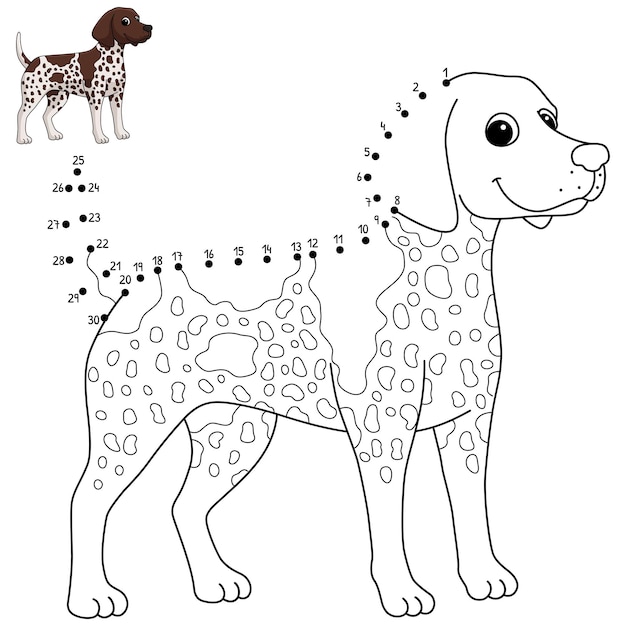 Dot to Dot German Shorthaired Pointer Dog Isolated