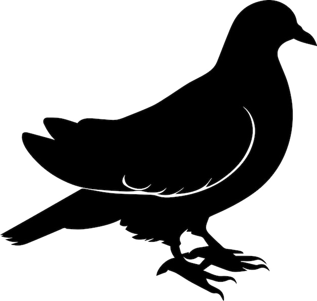 Dove bird vector silhouette illustration