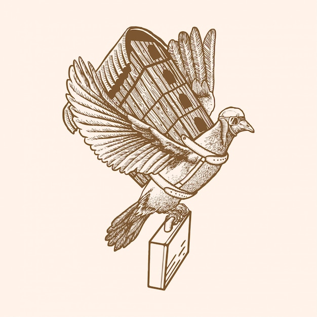 DOVE TRAVELING ILLUSTRATION