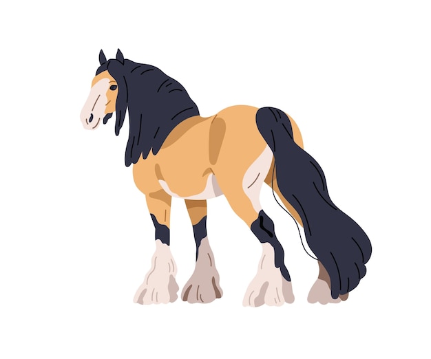 Draft draught heavy horse Work stallion tinker gypsy cob breed Purebred steed equine animal with feathering on legs mane tail Flat graphic vector illustration isolated on white background