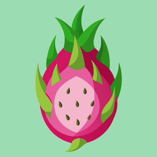 Dragon Fruit Color Clip Art Vector Design