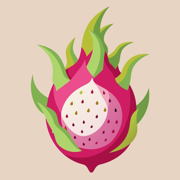 Dragon Fruit Color Clip Art Vector Design