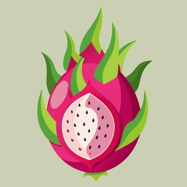 Dragon Fruit Color Clip Art Vector Design