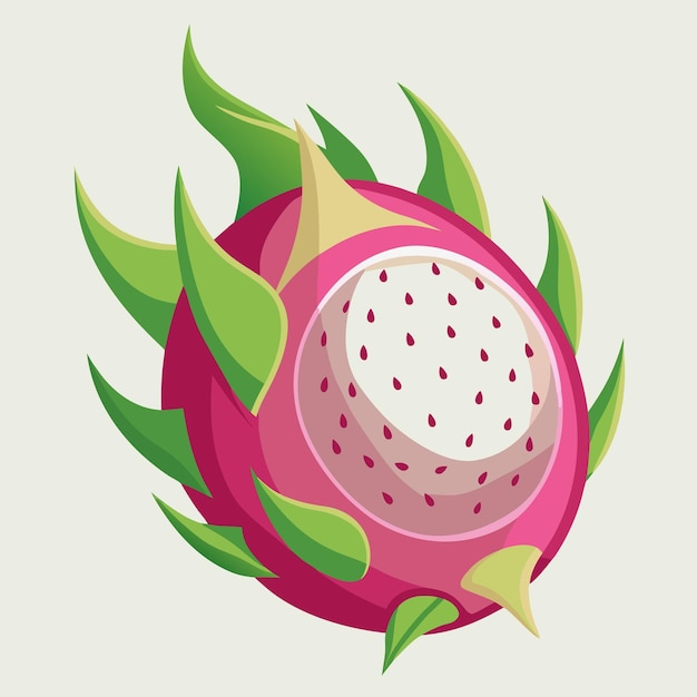 Dragon Fruit Color Clip Art Vector Design