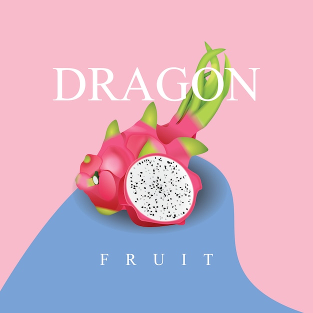 Dragon fruit illustration  