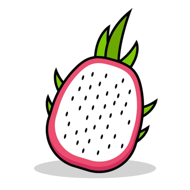 Dragon fruit vector illustration great for fruit food theme