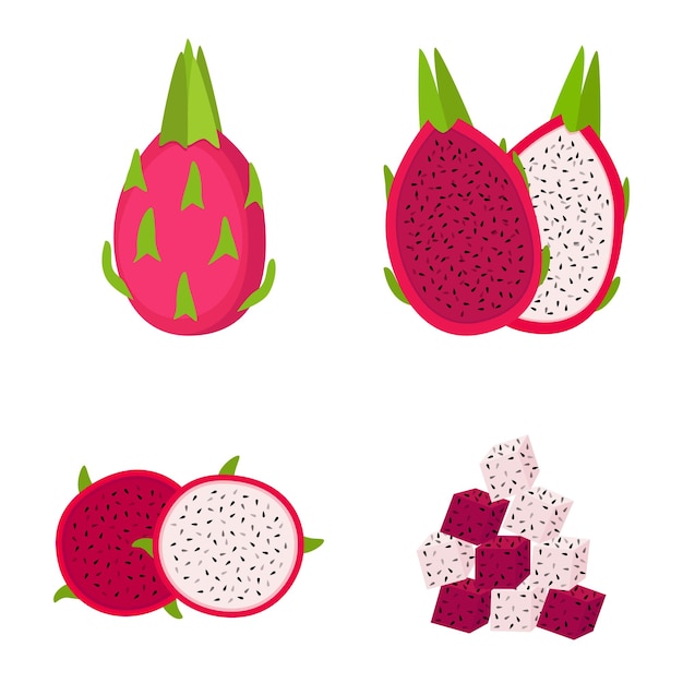 Dragon fruit, whole fruit, half and slices, on white background, vector illustration