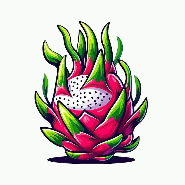 dragon fruit