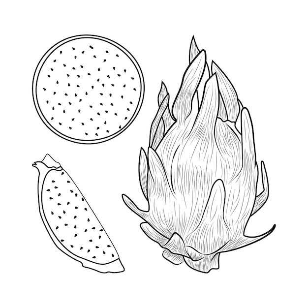 Dragon fruits coloring pages