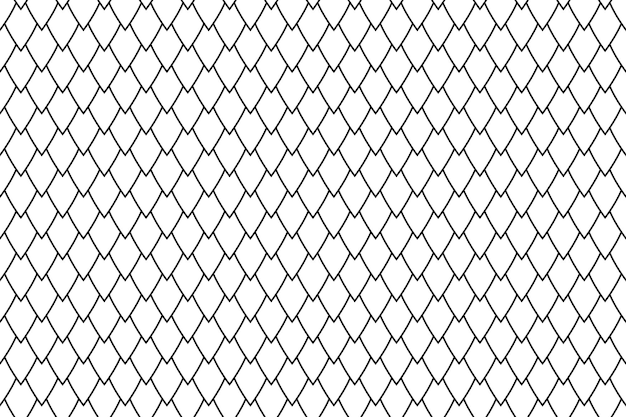 Dragon squama geometric white simple seamless pattern