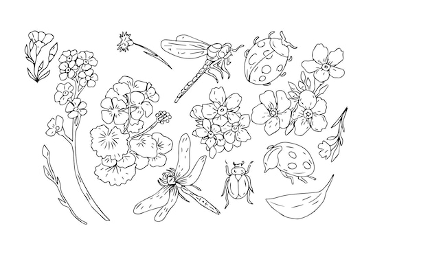 dragonfly beetle ladybug insects and flowers geranium and forgetmenots beautiful spring clipart