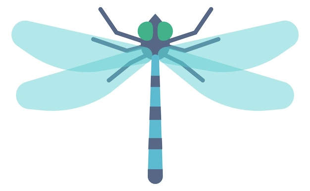 Dragonfly color icon Flying animal Winged insect