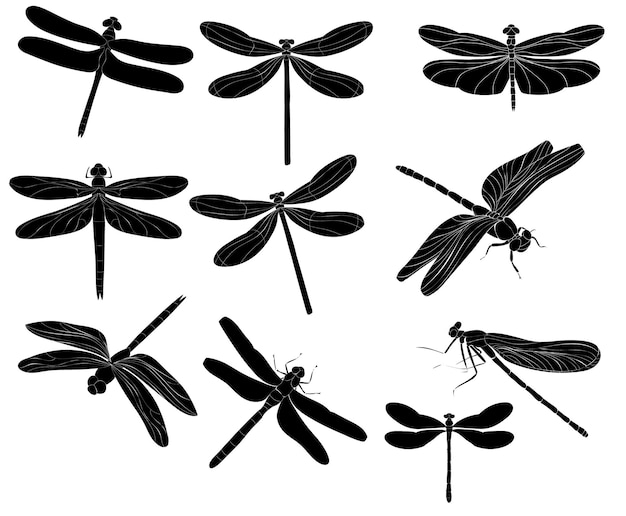 Dragonfly flies insect set of silhouettes