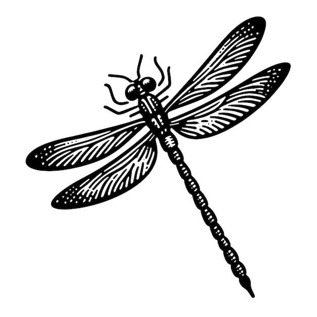 Dragonfly SVG