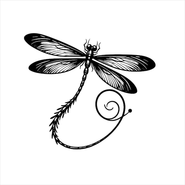 Dragonfly SVG