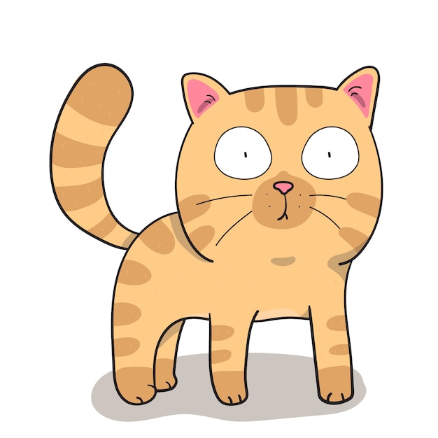 Draw cute cat