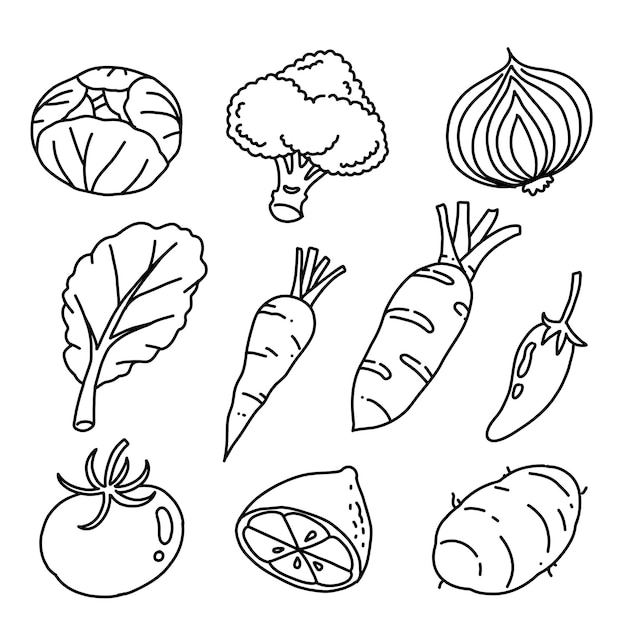 Draw a doodle set of vegetables black line sketches on a white background