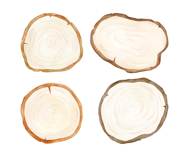 Draw vector illustration collection painting wooden slice