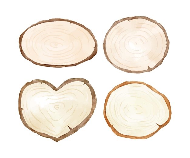 Draw vector illustration collection wooden slice Watercolor style