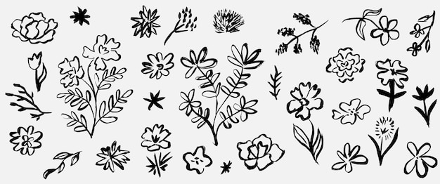 Drawing abstract outline floral botanical elements Brush paint flowers branch in doodle style Ink plant