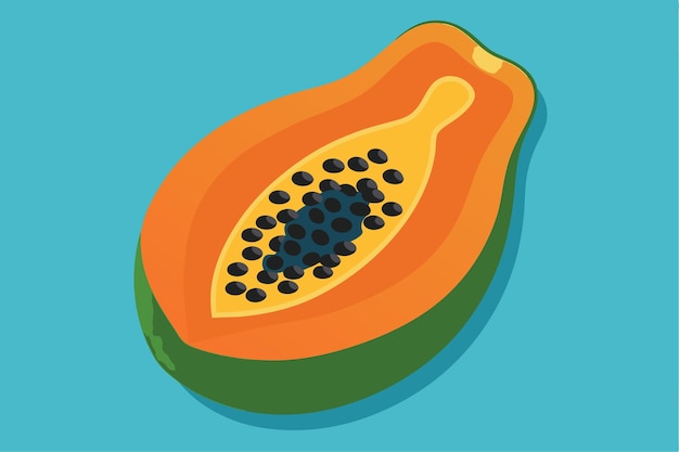 a drawing of an avocado with black seeds