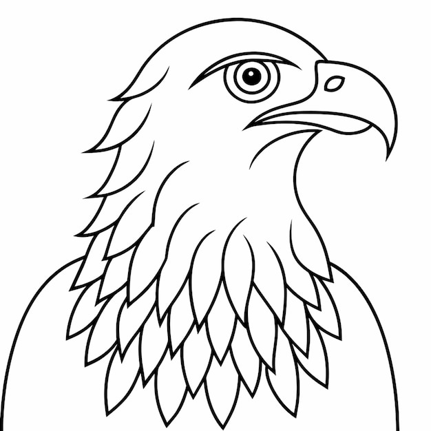 Vector a drawing of a bald eagle with a white background