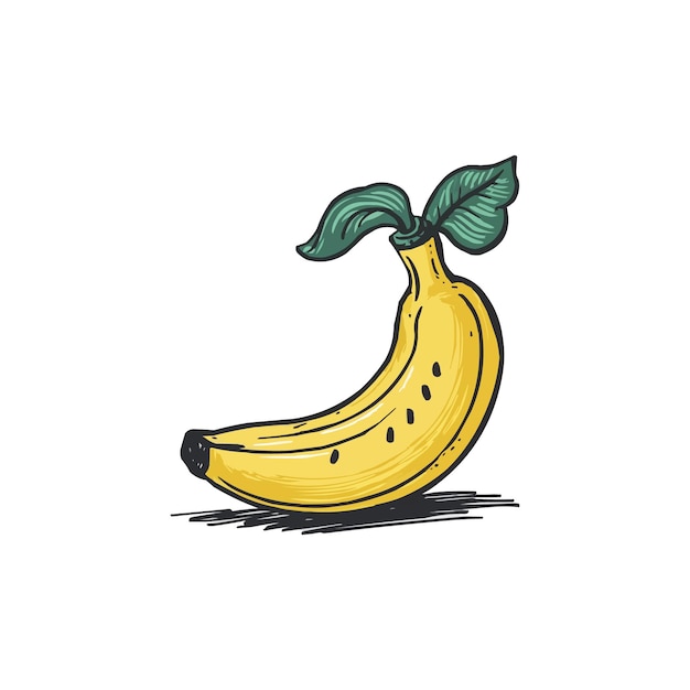 a drawing of a banana with green leaves and a black outline