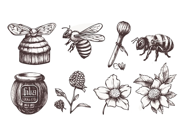 Vector a drawing of bees and flowers with a jar of honey