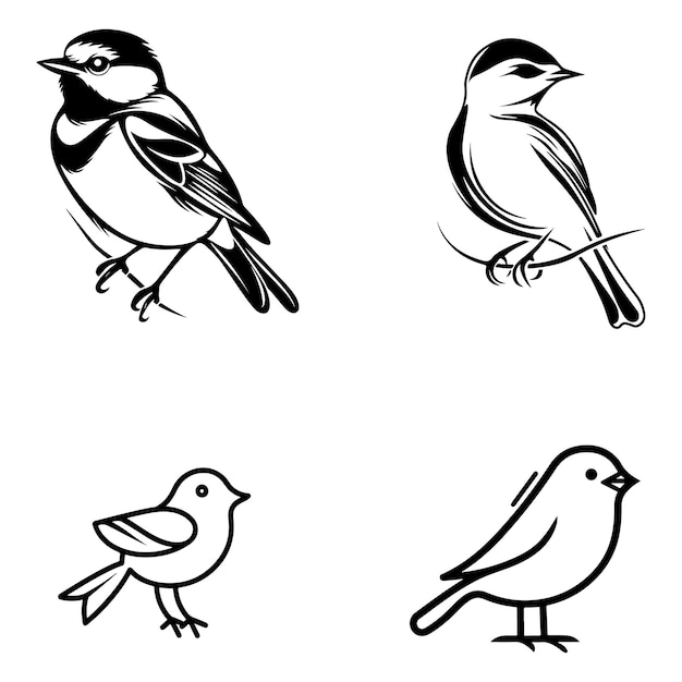 a drawing of a bird and a bird on a white background