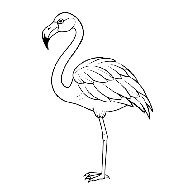 a drawing of a bird with a long beak and a beak that says  flamingo