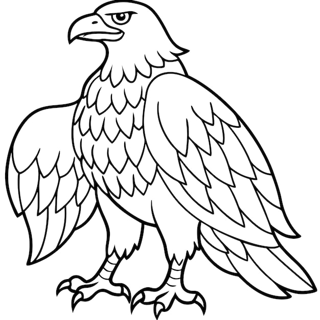 Vector a drawing of a bird with a white background that says  the word