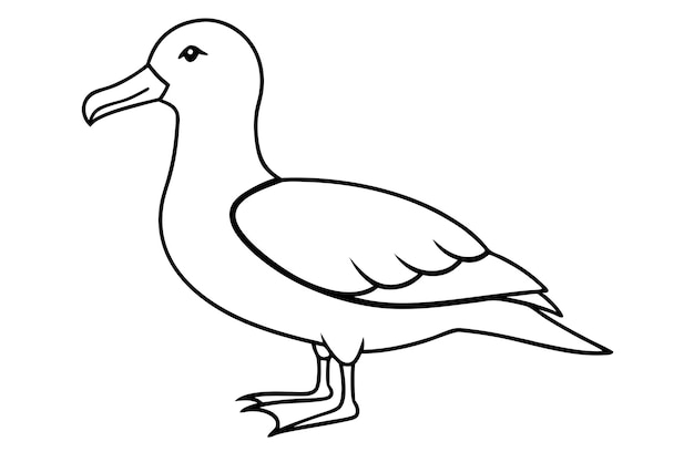 a drawing of a bird with a white background