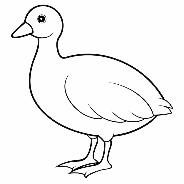 A drawing of a bird with a white background