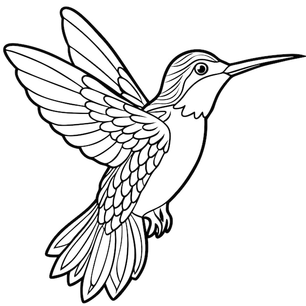 Vector a drawing of a bird with wings that has a bird on it