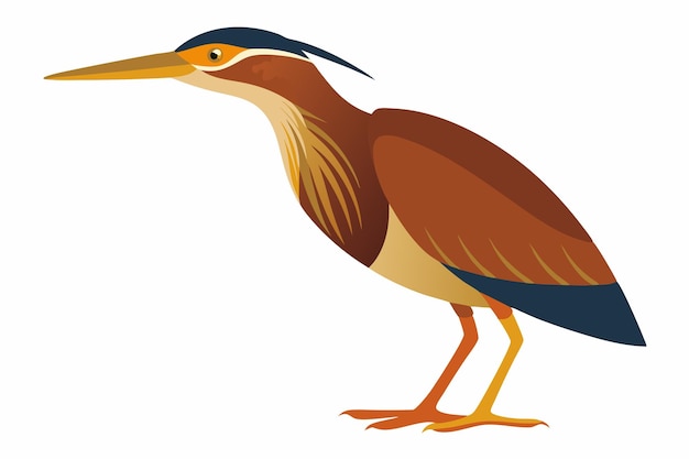 a drawing of a bird with a yellow beak and a blue and brown coloring