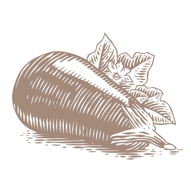 Drawing of blue eggplant with leaf and flower