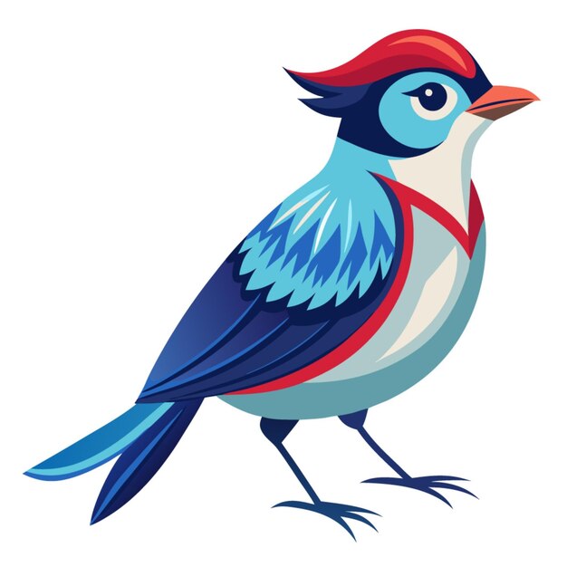 Vector a drawing of a blue and red bird with a red and blue tail