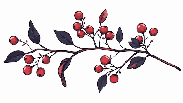 Vector a drawing of a branch with berries on it