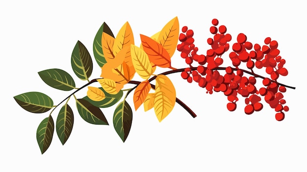 a drawing of a branch with many leaves and the word  pomegranate  on it