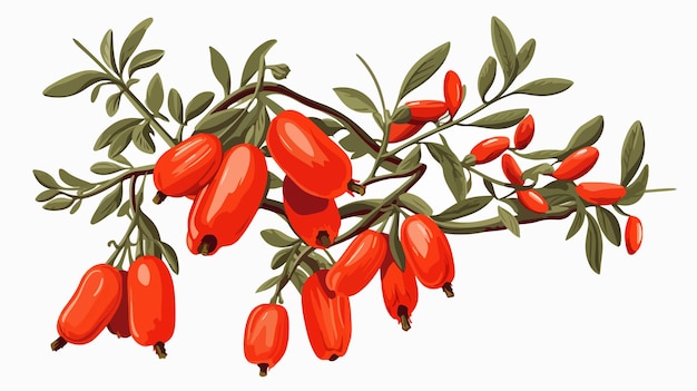 a drawing of a branch with red flowers