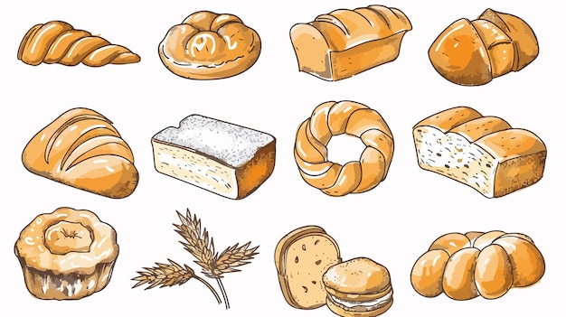 Vector a drawing of breads and wheat breads with wheat and wheat